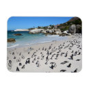 Recherche de sud magnets Mer