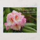 Recherche de washington d c cartes postales Côte