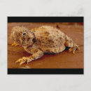Recherche de crapaud cartes postales Lézard