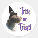 Suche nach griffon aufkleber Hund