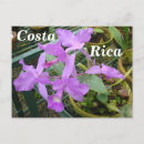 Recherche de fleurs des caraïbes cartes postales Fleur nationale