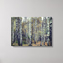 Suche nach herbstwald leinwandbilder Natur