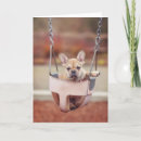 Suche nach cute animals karten Young animal