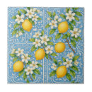 Recherche de citron carreaux Fruit d'agrumes
