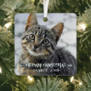 Suche nach lustige katzen in der ornamente Heftige weihnachten