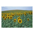 Recherche de foules posters Coloré