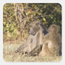 Suche nach krüge aufkleber Tierwelt