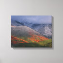 Suche nach schneesturm poster Herbst