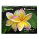 Suche nach plumeria kalender Frangipani