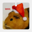Recherche de merry christmas hats Animal