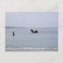 Recherche de fureur cartes postales Vacances