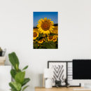Recherche de tournesol posters Extérieur