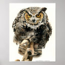 Recherche de prédateurs posters Réalisme