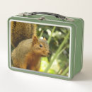 Suche nach natur brotdosen Wildtiere