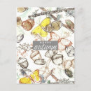 Recherche de glands cartes postales Nature