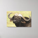 Recherche de de nez art Faune