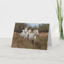 Recherche de cheval camargue cartes invitations Jones d'adam