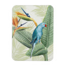 Recherche de oiseaux magnets Coloré