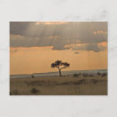 Recherche de rayons du soleil cartes postales Paysage