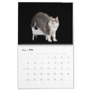 Suche nach kätzchen ich kalender Süß