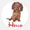 Suche nach hundeaufkleber Dachshund