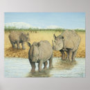 Suche nach nashorn poster Nashörner