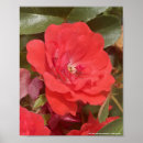 Suche nach rot und grau poster Niedlich