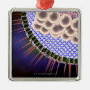 Suche nach herpes ornamente Medizinisch