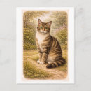 Recherche de de chat tigré cartes postales Dessin