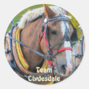 Recherche de clydesdale autocollants Chevaux