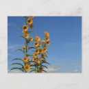 Suche nach walnuss postkarten Blume