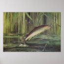 Recherche de truite brune posters Poisson