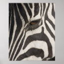 Suche nach extrem poster Tierkopf