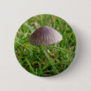 Recherche de champignon badges Nourriture