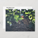 Recherche de cambriolage cartes postales Oiseaux