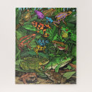Suche nach toad puzzle Frösche