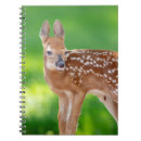 Suche nach neugeborene kleine notizbücher Natur