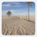Recherche de le sahara autocollants Paysage