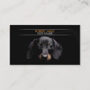 Recherche de séance de chien Se reposer