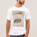 Suche nach einsiedlerkrebs tshirts Fische