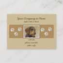 Recherche de sanglier cartes visite Pour tous