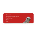 Recherche de hibou bleu Nature
