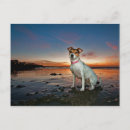 Recherche de russel cartes postales Photographie