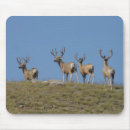 Recherche de velours tapis souris Cerf