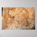 Suche nach querschnitt poster Braun