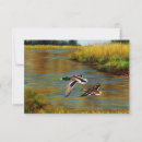 Recherche de étang de canard invitations Chasse au canard