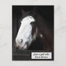 Recherche de fille de cheval cartes postales Pour tous
