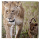 Suche nach afrikanische safari fliesen Natur