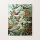 Recherche de colibris puzzles Peinture