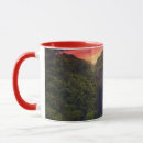 Recherche de landscape tasses Rainforest